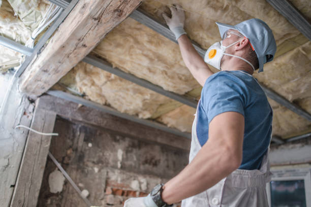 Best Insulation Materials and Products in Charleston, SC